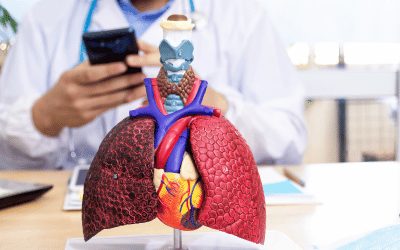 04．身體系統－呼吸及循環系統（EMT-1）